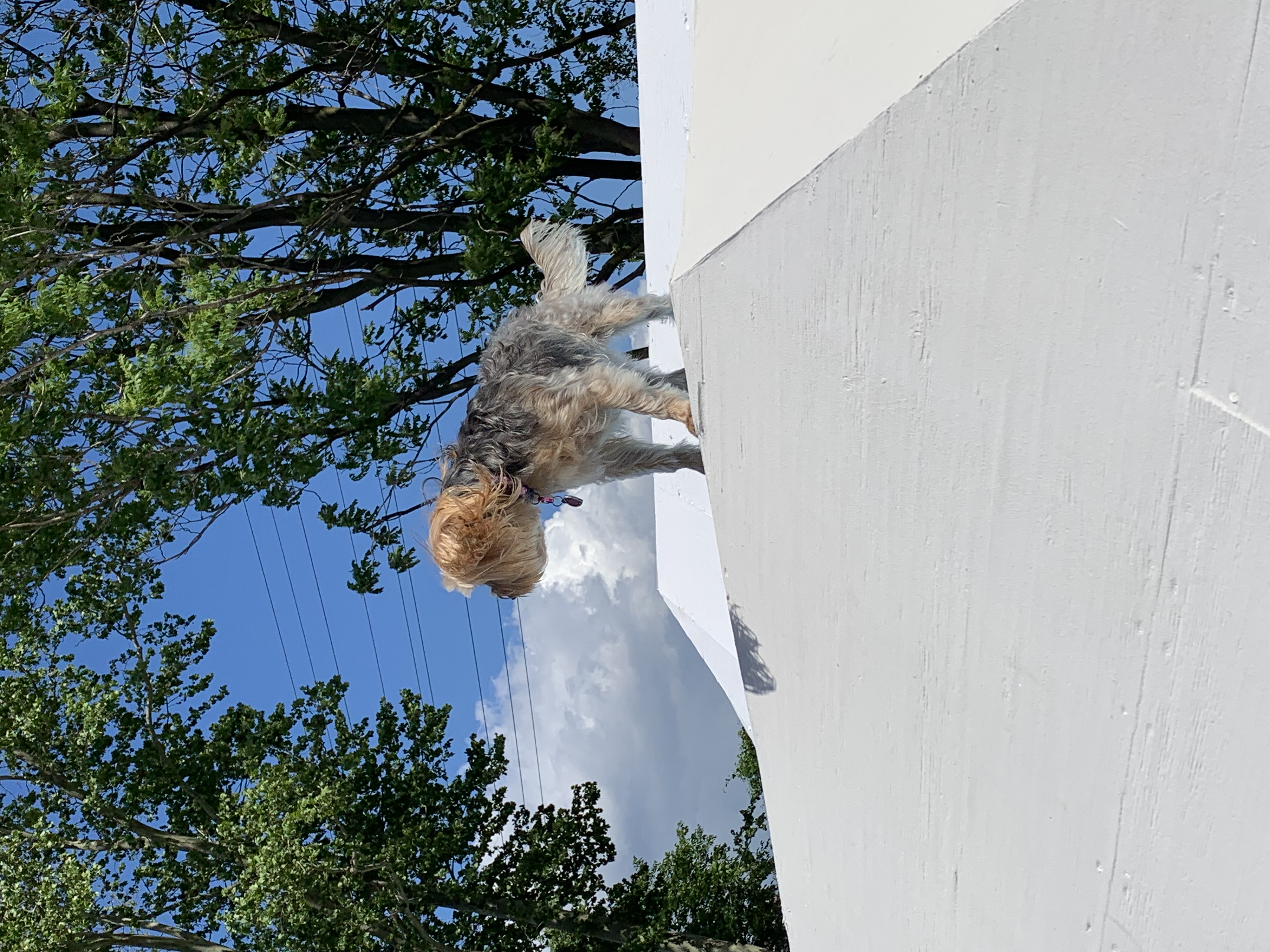 ./2022/06 - St Louis/06 - Day 6/20220526-102111406.JPG